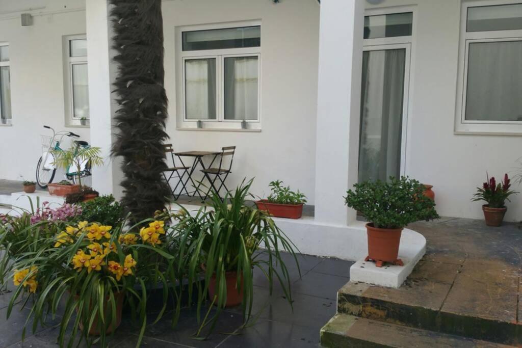 Albergue Dos Cagareus II Aveiro Bagian luar foto